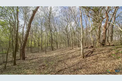 00 U.S. Hwy 59, Goliad, TX 77963 - Photo 4