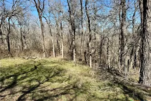 Tbd County Rd 418A, Bartlett, TX 76511 - Photo 6