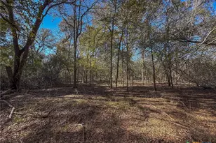 0 FM539, La Vernia, TX 78121 - Photo 6