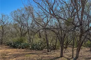 0 FM539, La Vernia, TX 78121 - Photo 10