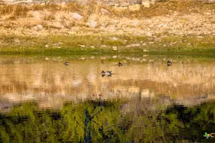 532 Cr 468, Other, TX 76872 - Photo 44