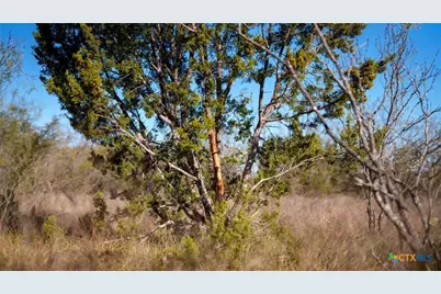 532 Cr 468, Other, TX 76872 - Photo 4