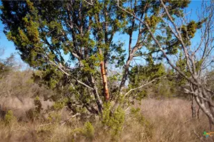 532 Cr 468, Other, TX 76872 - Photo 4