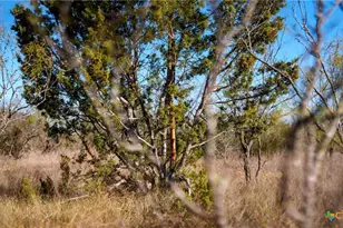 532 Cr 468, Other, TX 76872 - Photo 6