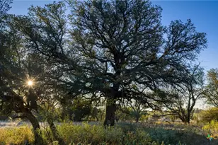 532 Cr 468, Other, TX 76872 - Photo 36