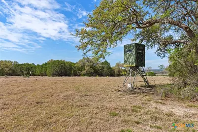 1292 Peak Lane, Killeen, TX 76542 - Photo 14