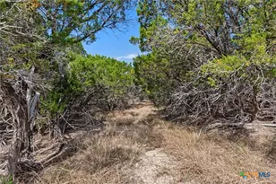 1292 Peak Ln, Killeen, TX 76542 - Photo 12