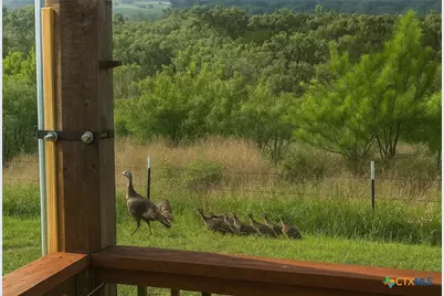 12516 Wire Road, Leander, TX 78641 - Photo 30