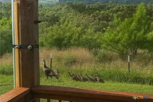 12516 Wire Rd, Leander, TX 78641 - Photo 30