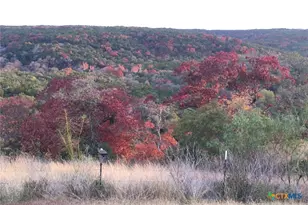12516 Wire Rd, Leander, TX 78641 - Photo 34