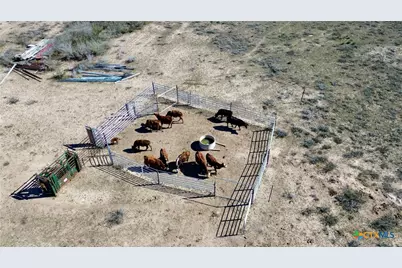 000 Fm 743, Goliad, TX 77963 - Photo 4