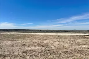 000 Fm 743, Goliad, TX 77963 - Photo 1