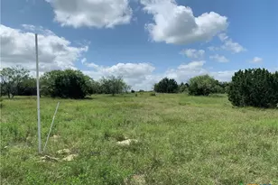 2160 Private Road 42110, Evant, TX 76525 - Photo 8