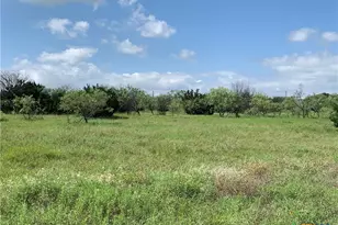 2160 Private Road 42110, Evant, TX 76525 - Photo 10
