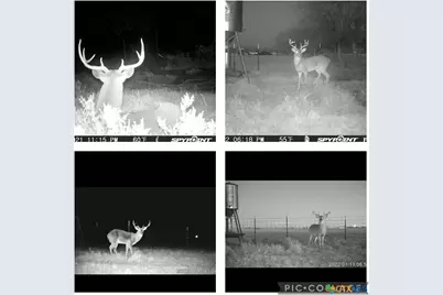 1291 County Road  259, Cameron, TX 76520 - Photo 6