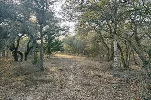 000 Private Road 1067, Hallettsville, TX 77964 - Photo 12