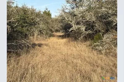 000 Private Road 1067, Hallettsville, TX 77964 - Photo 6