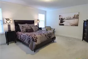 [Address not provided], Leander, TX 78641 - Photo 16