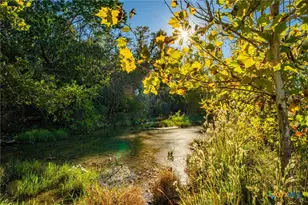 00 Fm 2843, Salado, TX 76571 - Photo 8