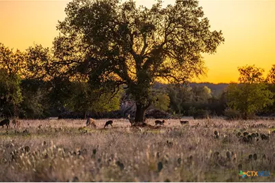 00 Fm 2843, Salado, TX 76571 - Photo 6