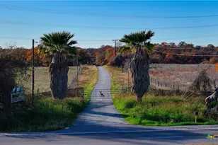Tbd Tx-123, Seguin, TX 78155 - Photo 14