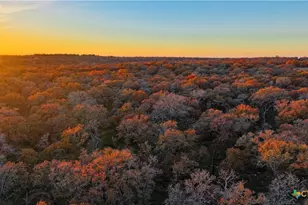 Tbd Tx-123, Seguin, TX 78155 - Photo 18