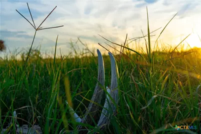 Tbd Tx-123, Seguin, TX 78155 - Photo 10