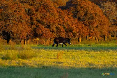 Tbd Tx-123, Seguin, TX 78155 - Photo 12