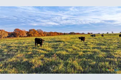 Tbd Tx-123, Seguin, TX 78155 - Photo 2