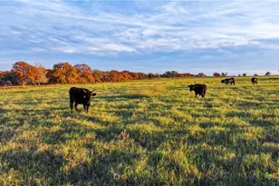 Tbd Tx-123, Seguin, TX 78155 - Photo 2