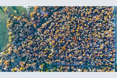 Tbd Tx-123, Seguin, TX 78155 - Photo 22