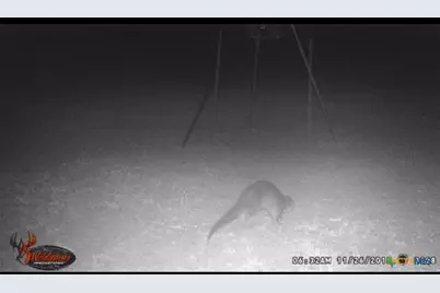 4025 County Road 284, Harwood, TX 78632 - Photo 6