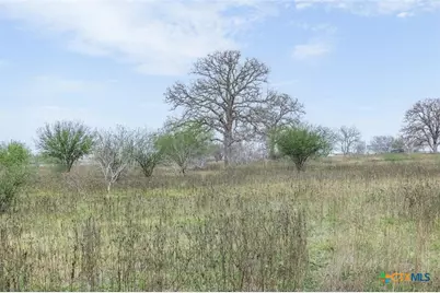 4025 County Road 284, Harwood, TX 78632 - Photo 28