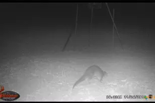 4025 Co Rd 284, Harwood, TX 78632 - Photo 6