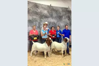 424 N Crawford Lane, Bartlett, TX 76511 - Photo 30