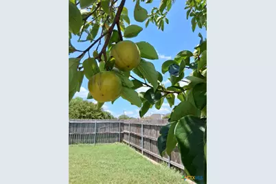 915 Neuberry Cliffe, Temple, TX 76502 - Photo 20