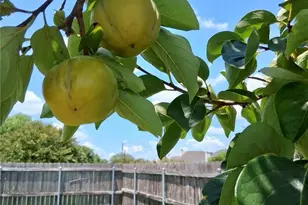 915 Neuberry Cliffe, Temple, TX 76502 - Photo 20