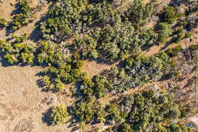 430 County Road 220, Florence, TX 76527 - Photo 2