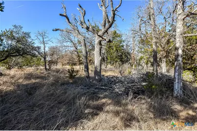 430 County Road 220, Florence, TX 76527 - Photo 4