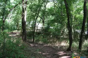 106 Gbrv Loop, Canyon Lake, TX 78133 - Photo 32