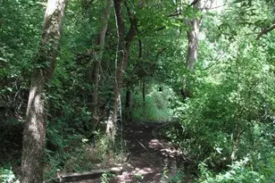 106 Gbrv Loop, Canyon Lake, TX 78133 - Photo 36