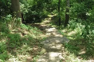 106 Gbrv Loop, Canyon Lake, TX 78133 - Photo 30