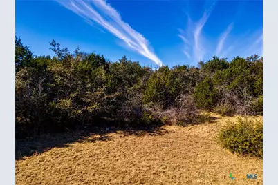 8601 Trimmier Road, Killeen, TX 76542 - Photo 10