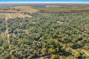 262 Gander Slough Rd, Kingsbury, TX 78638 - Photo 32