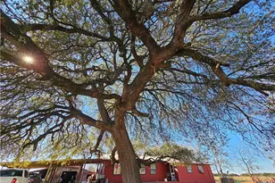 2051 County Rd 3155, Valley Mills, TX 76689 - Photo 4