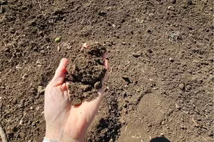 2051 County Rd 3155, Valley Mills, TX 76689 - Photo 28