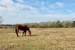 15631 FM 682, Yoakum, TX 77995 - Photo 32