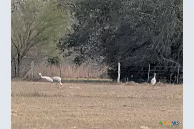 15631 Fm 682, Yoakum, TX 77995 - Photo 42