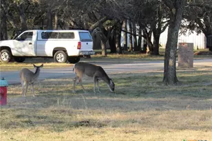 65 Bluebonnet Loop, Belton, TX 76513 - Photo 26