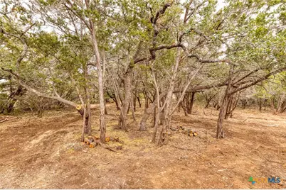 1595 Rocky Ridge Loop, Canyon Lake, TX 78133 - Photo 30